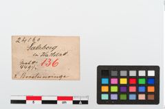 Etiketten zu Bernsteinring (NHMW-PRAE-024160)